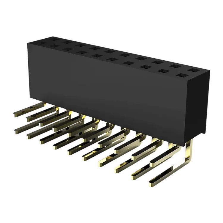 2,54mm Tiêu đề nữ hai hàng bên phải nhúng Y